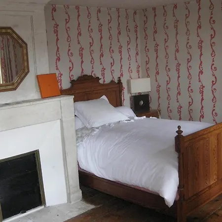 Bed & Breakfast Chambres D'hotes Bleynie-ruine De Rome 2*