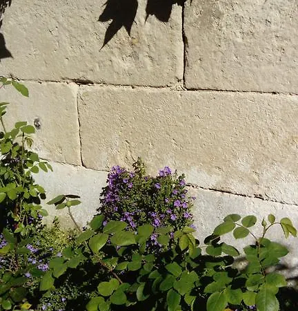 Bed & Breakfast Chambres D'hotes Bleynie-ruine De Rome