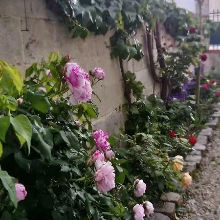 Bed & Breakfast Chambres D'hotes Bleynie-ruine De Rome Saintes